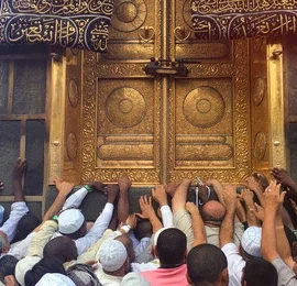 a-close-up-of-pilgrims-the-thumbnail-139091